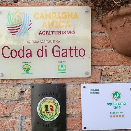 Agriturismo Coda Di Gatto エラクレーア エクステリア 写真