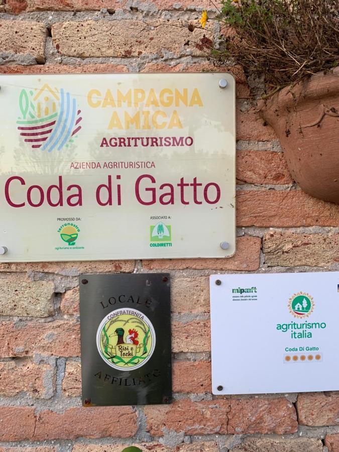 Agriturismo Coda Di Gatto エラクレーア エクステリア 写真